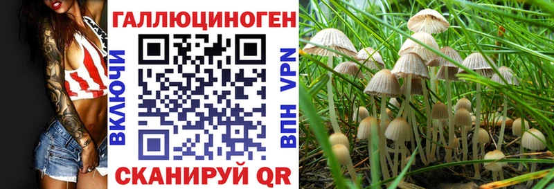 дарнет шоп  сайты даркнета Telegram  Псилоцибиновые грибы Cubensis  Таганрог 
